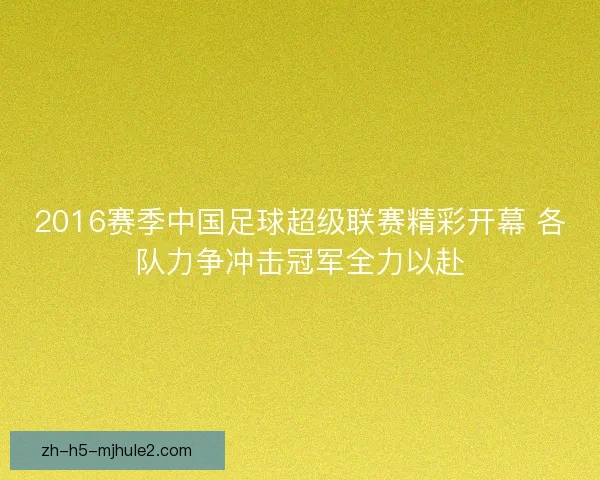 2016赛季中国足球超级联赛精彩开幕 各队力争冲击冠军全力以赴 2016赛季中国足球超级联赛精彩开幕 各队力争冲击冠军全力以赴
